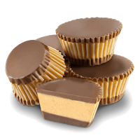 peanut butter cups on a white background